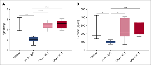 Antibodies binding ERFE N-terminal domain block hepcidin suppression in EPO-treated mice. Eight-week-old wild-type male mice were treated intraperitoneally with 200 IU of EPO in combination with intravenous injection of an IgG2A antibody control, anti-ERFE 15.1, or anti-ERFE 20.1 (or vehicle alone instead of EPO for analysis of baseline values). Mice were killed and analyzed 18 hours after treatment for assessment of Hamp expression (A) and serum hepcidin (B). n = 3, vehicle; n = 5-6, EPO-treated mice. *P < .05; **P < .01; ***P < .001; ****P < .0001 using the Student t test.