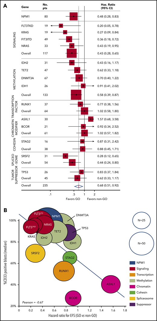 Benefit of GO according to mutation profile and correlation with CD33 expression. (A) The forest plot shows the HR for EFS in the GO arm vs the control arm for each mutation (with N ≥ 15) and mutation subgroup. (B) The correlation between the HRs and CD33 expression on AML blasts. Each circle represents a subgroup of patients with a mutation. The size of each circle is proportional to the number of patients.