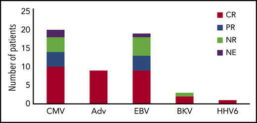 Antiviral responses following VST therapy by virus. CR, complete response (resolution of viremia and associated symptoms); PR, partial response (sustained >50% decrease in viral load); NE, not evaluable; NR, no response.