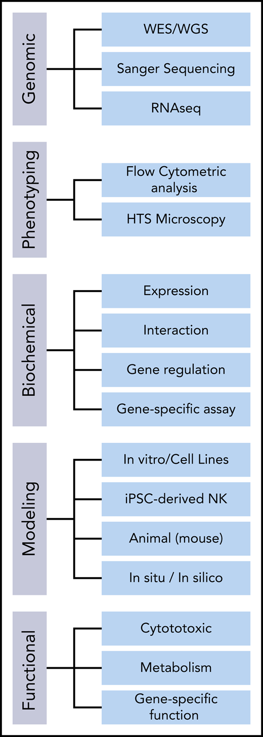 General approaches to studying the mutational impact and genotype-phenotype causality in candidate genes for NKDs. HTS, high-throughput screening; iPSC, induced pluripotent stem cell; RNAseq, RNA sequencing; WES, whole exome sequencing; WGS, whole genome sequencing.