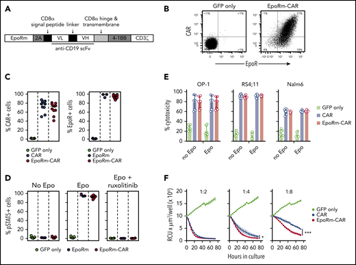 Expression and function of EpoRm-CAR in T cells. (A) Schematic representation of the EpoRm-CAR construct. (B) Flow cytometric dot-plots illustrate surface expression of CAR and EpoR in T cells transduced with EpoRm-CAR; cells transduced with GFP only were used as control. Percentage of cells in each quadrant is shown. Cells were stained with EpoR-PE antibody to detect EpoR expression; CAR expression was detected with goat anti-mouse F(ab′)2 antibody and streptavidin-APC (Jackson ImmunoResearch Laboratories). (C) Percentage of GFP+ cells expressing CAR (left) and EpoR (right) among T lymphocytes transduced with CAR, EpoRm, EpoRm-CAR, or GFP only. Each symbol corresponds to a measurement for one transduction. Horizontal bars indicate median value. (D) Percentage of GFP+ T lymphocytes expressing pSTAT5 after stimulation with 10 IU/mL Epo or pretreatment with 10 µM ruxolitinib before Epo stimulation. Each symbol corresponds to a measurement for one transduction with the construct shown. Horizontal bars indicate median value. (E) Cytotoxicity of T lymphocytes transduced with CAR, EpoRm-CAR, or GFP only against the CD19+ cell lines OP-1, RS4;11, and Nalm6. Bars represent mean (± SD) of triplicate experiments in a 4-hour cytotoxicity assay at a 1:1 E:T ratio. (F) Long-term cytotoxicity of T lymphocytes transduced with various constructs against mCherry+ OP-1 cells at the indicated E:T ratios in the presence of 10 IU/mL Epo. The number of viable target cells was collected every 4 hours with the IncuCyte Zoom System (Essen Bioscience) and expressed as red calibrated units (RCU) × µm3/well. Symbols represent the mean (± SD) percentage cytotoxicity measured at the indicated time points. *P = .03; ***P < .001.