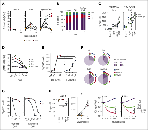 Epo supports the proliferation of EpoRm-CAR-T cells. (A) Survival and expansion of T lymphocytes from 3 donors transduced with CAR, EpoRm-CAR, or GFP only (Control) cocultured with Streck-treated or irradiated OP-1 cells at a 1:1 ratio, in the absence or presence of 10 IU/mL Epo, without exogenous IL-2. Each symbol indicates the percentage of cell recovery compared with the number of input cells. Mean (± SD) of triplicate cultures is shown, except for the day 14 measurement for 1 donor, for whom only the mean of 2 measurements is shown. (B) Proportion of naive (CD45RO‒ CD62L+), effector (TE; CD45RO‒ CD62L‒), central memory (TCM; CD45RO+ CD62L+), and effector memory (TEM; CD45RO+ CD62L‒) T cells in EpoRm-CAR T cells compared with T cells transduced with CAR or GFP only. Shown are mean of 3 experiments with and without Epo (10 IU/mL) after 24-hour culture with RS4;11 cells at a 1:1 ratio. (C) Percentage of T lymphocytes transduced with the various constructs recovered 7 days after coculture with irradiated CD19+ OP-1 at a 1:1 ratio in the presence of 10 IU/mL Epo with 10 IU/mL or 100 IU/mL of IL-2. Each symbol indicates the mean of triplicate cultures. (D) MFI of pSTAT5 in EpoRm-CAR–transduced T cells after stimulation with 10 IU/mL Epo and/or 100 IU/mL IL-2 at the indicated time points. (E) Percentage of GFP+ EpoRm-CAR–transduced T cells expressing pSTAT5 stimulated with the indicated concentrations of Epo and IL-2. *P = .045; **P < .01. (F) Expression of activation and exhaustion markers PD-1, TIM-3, and LAG-3 in T cells expressing EpoRm-CAR cocultured for 6 days with irradiated OP-1 in the presence of 10 IU/mL Epo and/or 10 IU/mL IL-2. Marker expression was analyzed with Diva software, and graphs were plotted with Phyton 3 using Matplotlib package (https://matplotlib.org/). Average measurement of 2 experiments is shown. (G) Percentage of GFP+ cells expressing pSTAT5 in T cells transduced with EpoRm-CAR after exposure to either tofacitinib or ruxolitinib for 1 hour at the indicated doses before stimulation with either 10 IU/mL Epo or 100 IU/mL IL-2. Each dot represents the mean of 2 measurements for tofacitinib and a single measurement for ruxolitinib. (H) Left panel shows the percentage of EpoRm-CAR T cells recovered after 2 days of culture with irradiated RS4;11 cells at a 1:1 ratio in the presence of 10 IU/mL Epo with or without 1 µM ruxolitinib. Cells were then washed to remove ruxolitinib, and cultures were continued for another 2 weeks in the presence of Epo (right); each dot indicates mean (± SD) of triplicate measurements of percentage of cell recovery relative to cell numbers of day 2. ***P < .001. (I) Long-term cytotoxicity of T cells expressing EpoRm-CAR or GFP only (control) against mCherry+ Nalm6 cells at a 1:1 E:T ratio. Epo (10 IU/mL) was added every 2 days, and ruxolitinib (1 µM) or its vehicle (DMSO) were added either at the start of the coculture (left panel) or after 8 hours (right panel). The IncuCyte Zoom System was set to collect the number of viable target cells, expressed as red calibrated units (RCU) × µm3/well, every 4 hours. Shown are mean (± SD) of cultures with T cells from 1 donor. Data from 2 other donors are shown in supplemental Figure 5. ***P < .001.