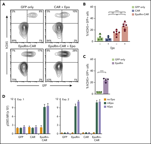 In vivo expansion of EpoRm-CAR-T cells in immunodeficient mice. (A) Representative flow cytometric contour plots illustrate the presence of human CD45+ GFP+ T cells in mouse peripheral blood. (B) Percentage of human CD45+ GFP+ cells in peripheral blood of mice injected IV with T cells transduced with CAR, EpoRm-CAR, or GFP only; some mice received 100 IU Epo IP 3 times a week for 2 weeks, as indicated. Blood was obtained via cheek bleed 13 days after T-cell infusion. **P < .01; ***P < .001. (C) Experiments performed as in panel B with T cells from a different donor transduced with EpoRm or GFP only; no exogenous Epo was administered. ***P < .001. (D) pSTAT5 MFI in T cells transduced with CAR, EpoRm-CAR, EpoRm, or GFP only following 15-minute stimulation with 80 ng/mL of either mouse or human Epo.