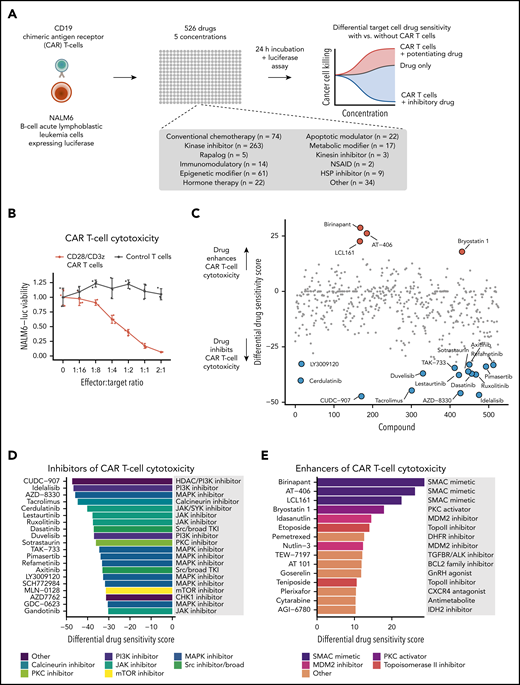 High-throughput drug screen to identify drugs modulating CAR T-cell cytotoxicity. (A) Schematic of the high-throughput coculture system drug sensitivity screen. (B) NALM6-luc cell viability with different effector/target ratios of CAR T cells or empty vector–transduced control T cells and NALM6-luc cells cocultured for 24 hours. (C) Overview of drug responses in CAR T-cell cytotoxicity screen. A positive differential DSS between CAR T cell–treated and control screens indicates that the compound enhances CAR T-cell cytotoxicity, whereas a negative score indicates inhibition. (D) Top 20 drugs most potently inhibiting CAR T-cell cytotoxicity ordered by the differential DSS. (E) Top 15 drugs most potently enhancing CAR T-cell cytotoxicity ordered by the differential DSS. NSAID, nonsteroidal anti-inflammatory drug.