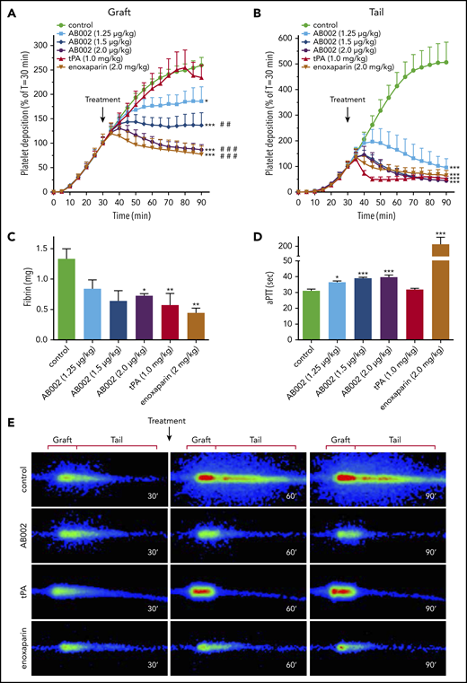 AB002 interrupts thrombus formation in a primate thrombosis model. (A-B) Real-time platelet accumulation within collagen-coated synthetic vascular grafts (4-mm i.d.; 20 mm length) (A) and the tail region where the thrombus elongated distal to the graft (B). These devices were temporarily inserted into the femoral arteriovenous shunt of juvenile baboons. Blood flow through the device was adjusted to 100 mL/min, producing an initial shear rate of 265 s−1. Thrombi were allowed to grow for 30 minutes prior to intervention (black arrow). The average thrombus size at the time of intervention was set to 100%. Control experiments (n = 15) received no intervention or saline, whereas treatments were either tPA (n = 8) or increasing doses of E-WE thrombin (n = 4-7 per group). Posttreatment platelet accumulation was monitored for an additional 60 minutes. (C) Total fibrin deposition within the grafts was assessed at the end of each experiment. (D) aPTT was measured in platelet-poor plasma samples collected 10 minutes posttreatment. (E) Real-time γ-camera images of the developing thrombi taken at 30, 60, and 90 minutes. Images were recorded at 5-minute intervals and quantified in panels A and B. Each row of images shows representative images at each time point for control, AB002- (2 µg/mL), tPA-, and enoxaparin-treated baboons. Dimensions used to quantify graft and tail thrombus are indicated above each column. All data are expressed as mean plus or minus SEM. Asterisks denote significant differences to control (*P < .05; **P < .01; ***P < .001), pound symbols indicate significant differences to tPA (#P < .05; ##P < .01; ###P < .001). For panel B, all treatment groups, including tPA, are significantly different from control (P < .001), but not different from each other. Real-time platelet deposition was analyzed by 2-way ANOVA, and terminal fibrin and aPTT were analyzed using 1-way ANOVA.