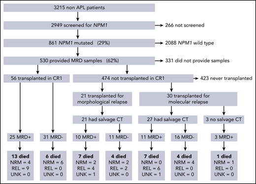 CONSORT diagram showing the number of patients in each part of the trial, therapy given before transplant, and outcomes in each group. CT, chemotherapy; MRD, measurable residual disease; NRM, nonrelapse mortality; REL, relapse; UNK, unknown cause of death.