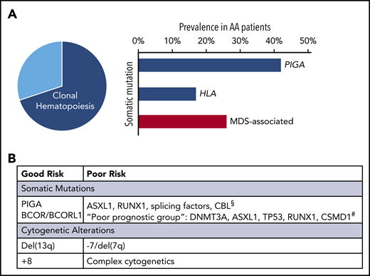 The landscape of CH in AA. (A) Left, When all available modalities to assess for genetic alterations are used, CH can be detected in over 70% to 80% of AA patients (pie chart). Right, Bar chart showing the relative proportions of recurrent mutations. The 2 most commonly mutated genes in AA are PIGA and HLA (blue bars); inactivating mutations in these genes are pathognomonic of immune-mediated BMF. Mutations in genes associated with MDS (red bar) are found in ∼25% to 30% of AA patients. (B) Table showing available information on the prognostic significance of recurrent genetic alterations in AA, which is discussed in "Common somatic alterations in AA" and "Evolution to post-AA secondary MDS/AML." §Based on Negoro et al.51 #Based on Yoshizato et al.37