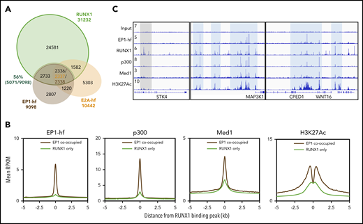 ChIP-seq reveals elevated active marks and factors at E2A-PBX1–bound RUNX1 sites. (A) Venn diagram showing the overlap among E2A-PBX1, E2A, and RUNX1 ChIP-seq peaks. In the triple overlap region, there were 2337 peaks from E2A-hf and 2338 peaks from EP1-hf. (B) Metagene plots showing the averaged ChIP-seq signals for EP1-hf, p300, MED1, and H3K27Ac at identified RUNX1 only or at RUNX1 and E2A-PBX1 cobound sites. (C) ChIP-seq profiles of E2A and E2A-PBX1 in their stable 697 expression lines and those of RUNX1, p300, MED1, and H3K27ac in the parental 697 line at the indicated targets. Blue- and gray-colored boxes show overlap of EP1-hf and RUNX1 peaks.