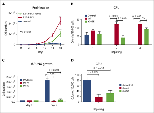 RUNX1 is essential for E2A-PBX1–mediated HSPC transformation in vitro. DNA-binding function of E2A-PBX1 is dispensable in HSPC transformation. Murine HPSCs transduced with control or indicated E2A-PBX1–expressing retroviruses were subjected to assays for (A) proliferation kinetics in a liquid culture and (B) in vitro serial replating to score CFUs in a semisolid culture. RUNX1 depletion significantly impairs the maintenance of E2A-PBX1-transformed HSPCs. (C) Cell proliferation and (D) CFU assays of E2A-PBX1–transformed HSPCs transduced with lentiviruses expressing Scramble (shControl) or RUNX1 (sh574 and sh812) shRNAs. Statistics by Student t test. **P < .01. NS, not significant.