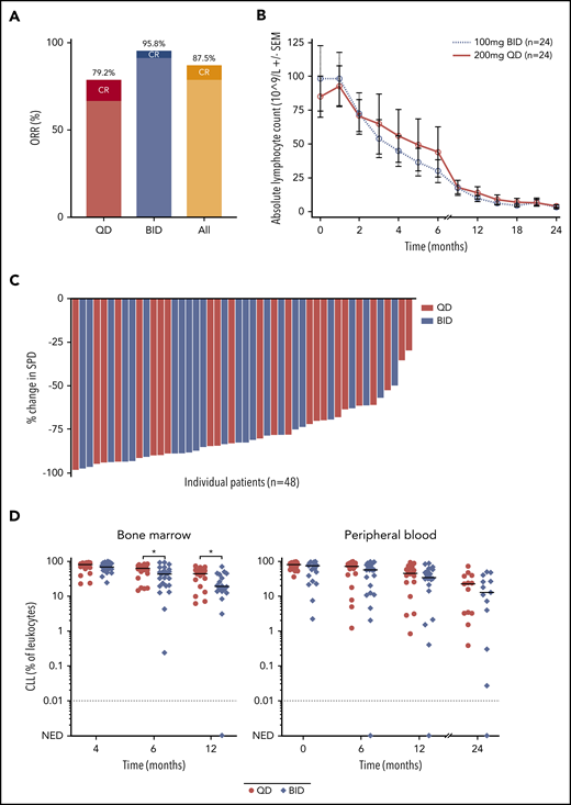 Efficacy of acalabrutinib. (A) The rate of overall response, including complete remission and partial remission, in the BID group and the QD group. (B) Absolute lymphocyte count during treatment. (C) Maximum percent change in the sum of the product of dimensions during treatment. (D) Quantification of disease burden in bone marrow and peripheral blood separated by dosing groups. Line denotes median of each group at the indicated time point. *P < .05. NED, no evidence of disease.