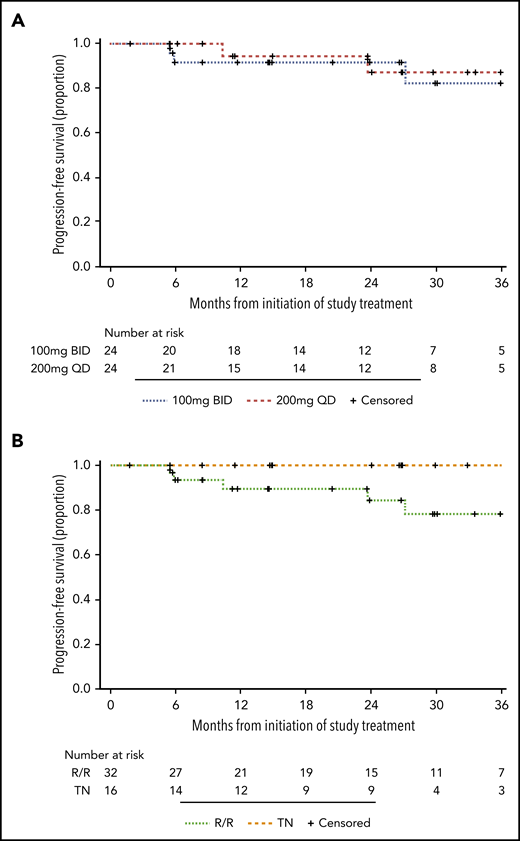 PFS. (A) PFS in the BID group and the QD group. (B) PFS in TN patients and R/R patients.