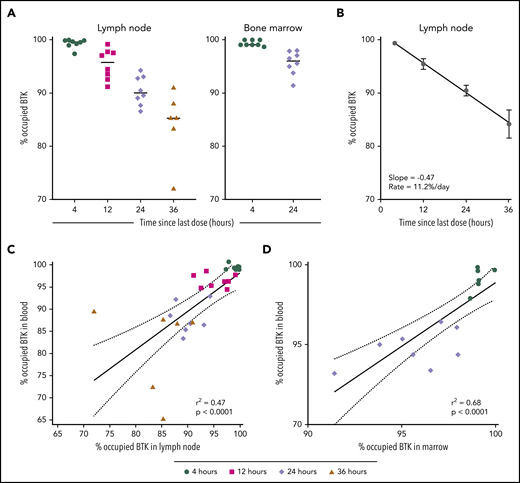 BTK occupancy in lymph node and marrow. (A) Individual BTK occupancy in the lymph node and marrow. The median values are represented by the horizontal lines. (B) BTK occupancy over time in lymph node during the acalabrutinib withholding period, shown as mean ± SEM. Linear regression was used to calculate slopes for the return of free BTK. (C-D) Correlation of BTK occupancy in paired samples of PBMC and lymph node and marrow. Shapes represent collection time since the last dose of acalabrutinib: 4 hours (●), 12 hours (▪), 24 hours (♦), and 36 hours (▲).