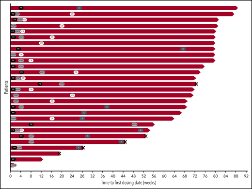 Swim lane plot of patients enrolled in the safety run-in portion of ANDROMEDA. Patient disposition by hematologic response is shown for the 28 patients enrolled in the safety run-in portion of the study. Black ovals indicate PR, light gray ovals indicate VGPR, and white ovals indicate CR. Dark gray rectangles indicate ASCT, and X indicates death. A, autologous stem cell transplant.