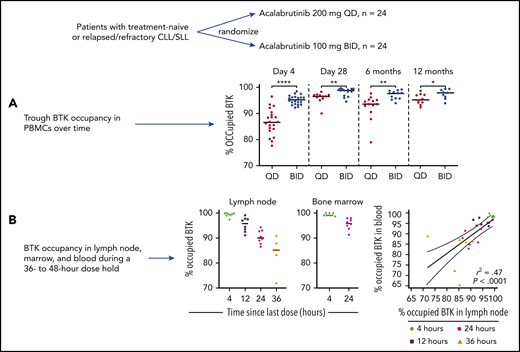 Patients with high-risk treatment-naive or relapsed/refractory CLL/small lymphocytic lymphoma were randomized to 200 mg daily (QD) or 100 mg twice daily (BID) of acalabrutinib. (A) Trough BTK occupancy was serially measured (at day 4 and 1, 6, and 12 months) in PBMCs, showing higher occupancy in the twice-daily dosing cohort at all time points and increased BTK occupancy over time. (B) BTK occupancy in PBMC, bone marrow, and lymph nodes was measured during a 36- to 48-hour dose hold, allowing calculation of BTK resynthesis rates and demonstrating close correlation between BTK occupancy in PBMCs and in tissue compartments. *P ≤ .05; **P ≤ .01; ****P ≤ .0001. The figure has been adapted from Figures 4 and 5 in the article by Sun et al that begins on page 93. Professional illustration by Brian Cannon.