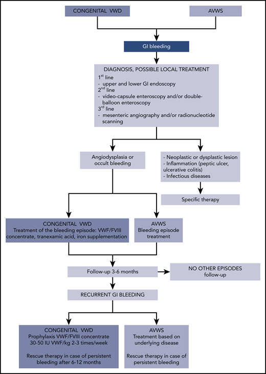 Flowchart of diagnosis, follow-up, and treatment of GI bleeding in congenital VWD and AVWS.