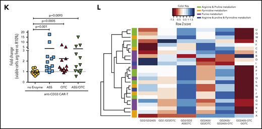 Insertion of ASS and OTC enzymes enhances CAR-T cell proliferation in vitro. Biochrom amino acid analysis of (A) AML (n = 10) and (B) neuroblastoma (n = 11) plasma samples revealing low concentrations of arginine, cysteine, methionine, a-amino-n-butyric, aspartic acid, citrulline, and taurine at diagnosis. (C) Plasma arginine levels at diagnosis are significantly lower than healthy controls in AML and solid pediatric cancer patients. (D) Schematic of CAR-T constructs containing the basic anti-XX-CAR scFv-CD8 hinge-41BB-CD3ζ in concert with ASS or OTC or ASS+OTC enzyme. A truncated CD34 is expressed for CAR-T identification and purification. (E) Western blot of ASS and OTC expression, with β-actin control, in control and modified anti-GD2-CAR-T cells posttransduction and expansion. (Representative of n = 7.) (F) ASS enzyme activity, measured by citrulline catabolism, is increased in ASS expressing CAR-T cells compared with controls. (G) OTC enzyme activity, measured by citrulline production, is increased in OTC expressing CAR-T cells compared with controls. (H) Highest proliferation of 2.5 × 106 modified anti-GD2-Jurkat CAR-T cell line following engraftment into NOG-SCID mice treated with recombinant human arginase (BCT-100, daily 50 mg/kg IV). (I) Proliferation of modified human CAR-T cells is significantly increased in low arginine media conditions, in vitro, as measured by flow cytometry after 72 hours. (J) Proliferation of modified anti-GD2 or anti-CD33-CAR-T cells is significantly increased in neuroblastoma (LAN-1 neuroblastoma or K562 AML, 72-hour conditioned supernatants) conditions, in vitro as measured by flow cytometry after 72 hours. (K) Expansion of modified CAR-T cells is enhanced in low arginine vs excess arginine (RPMI10%) conditions as measured by flow cytometry after 72 hours. (L) Liquid chromatography mass spectometry analysis of modified CAR-T cells after proliferation in low arginine conditions (72 hours) compared with each modified version. Heatmap demonstrating metabolomic changes in arginine and proline metabolism, pyrimidine metabolism, and purine metabolism pathways.