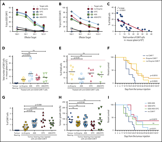 ASS and OTC enzymes increases CAR-T proliferation in vivo and activity against solid or hematological cancer. Specificity of modified CAR-T cell killing is unchanged by the addition of ASS or OTC enzymes, against (A) neuroblastoma or (B) AML target cells. Chromium (51Cr) release assays demonstrating antigen-specific killing of tumor cell targets by CAR-T cells. Minimal killing is seen against tumor cells that do not express the corresponding antigen. (C) Increased CAR-T proliferation correlates with a decreased AML burden in xenograft bone marrow. Linear regression line shown. (D) Increased proliferation of ASS-modified anti-CD33 CAR-T cells in NOG-SCID mice with established engraftment of AML blasts (HL60). (E) Decrease in established AML (HL60) engraftment in murine cell line xenografts treated with anti-CD33-ASS CAR-T cells. Data from day of euthanization. Dotted red line showing mean AML engraftment (43%) in the bone marrow of untreated mice. (F) Kaplan-Meier curves of GD2+ tumor murine xenografts, showing increased survival following treatment with CAR-T constructs. All remaining live mice were euthanized on day 57 for analysis. P value compared with control. (G) Increased proliferation of ASS, OTC, or ASS+OTC modified anti-GD2 CAR-T cells in nude mice with established s/c GD2+ tumors. Data from day of euthanization. (H) Anti-GD2-OTC CAR-T cells significantly decrease tumor growth in nude mice. (I) Kaplan-Meier curves of GD2+ tumor murine xenograft survival, which is increased with OTC-modified CAR-T constructs. All remaining live mice were euthanized on day 57 for analysis. P value compared with control. (J) Linear regression demonstrating the magnitude of anti-GD2-CAR-T cell proliferation correlates with GD2+ tumor xenograft survival. (K) Serum in tumor-bearing xenografts is deplete in arginine. Arginine concentrations are restored toward normal in response to CAR-T cell antitumor activity.