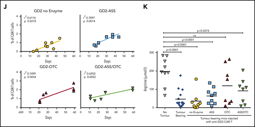 ASS and OTC enzymes increases CAR-T proliferation in vivo and activity against solid or hematological cancer. Specificity of modified CAR-T cell killing is unchanged by the addition of ASS or OTC enzymes, against (A) neuroblastoma or (B) AML target cells. Chromium (51Cr) release assays demonstrating antigen-specific killing of tumor cell targets by CAR-T cells. Minimal killing is seen against tumor cells that do not express the corresponding antigen. (C) Increased CAR-T proliferation correlates with a decreased AML burden in xenograft bone marrow. Linear regression line shown. (D) Increased proliferation of ASS-modified anti-CD33 CAR-T cells in NOG-SCID mice with established engraftment of AML blasts (HL60). (E) Decrease in established AML (HL60) engraftment in murine cell line xenografts treated with anti-CD33-ASS CAR-T cells. Data from day of euthanization. Dotted red line showing mean AML engraftment (43%) in the bone marrow of untreated mice. (F) Kaplan-Meier curves of GD2+ tumor murine xenografts, showing increased survival following treatment with CAR-T constructs. All remaining live mice were euthanized on day 57 for analysis. P value compared with control. (G) Increased proliferation of ASS, OTC, or ASS+OTC modified anti-GD2 CAR-T cells in nude mice with established s/c GD2+ tumors. Data from day of euthanization. (H) Anti-GD2-OTC CAR-T cells significantly decrease tumor growth in nude mice. (I) Kaplan-Meier curves of GD2+ tumor murine xenograft survival, which is increased with OTC-modified CAR-T constructs. All remaining live mice were euthanized on day 57 for analysis. P value compared with control. (J) Linear regression demonstrating the magnitude of anti-GD2-CAR-T cell proliferation correlates with GD2+ tumor xenograft survival. (K) Serum in tumor-bearing xenografts is deplete in arginine. Arginine concentrations are restored toward normal in response to CAR-T cell antitumor activity.