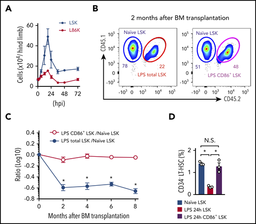 Analysis with CD86 reveals kinetics and function of LSKs during infection. (A) Cell kinetics of LSKs and L86Ks after treatment with LPS (5 mg/kg); n = 3 per time-point. (B-C) Naive LSKs (CD45.1+) were mixed with LSKs or CD86+ LSKs (CD45.1+CD45.2+) obtained from mice 24 hours after LPS treatment at a 1:1 ratio and transferred into lethally irradiated CD45.2+ recipient mice as shown in supplemental Figure 8. The ratio of CD45.1+ and CD45.1+CD45.2+ donor cells in the circulating blood was examined for 8 months (n = 8, LPS total LSKs vs naive LSKs; n = 7, LPS CD86+ LSKs vs naive LSKs). Representative FCM plots for circulating leukocytes 2 months after cell transfer are shown in panel B. (D) Frequencies of CD34− LT-HSCs in LSKs and CD86+ LSKs were examined before and 24 hours after LPS treatment. The numbers on the FCM plots indicate the frequencies of the gated populations. *P < .05, 1-way ANOVA. Data are representative of 2 independent experiments (A and D) or from 2 independent experiments (B and C) (error bars in panels A, C, and D represent SEM).