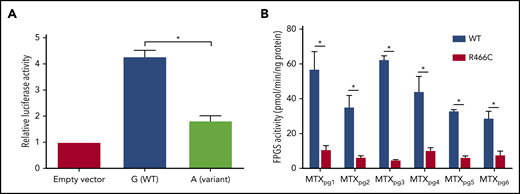 Functional characterization of DHFR and FPGS. (A) The luciferase reporter assay confirmed that enhancer activity of DHFR was negatively influenced by the nucleotide substitution from G (WT) to A (rs1382539) in 293T cells. Bars represent means from 3 triplicate experiments, and T bars indicate standard deviations. (B) WT or variant FPGS R466C protein (5 ng/reaction) was studied by the polyglutamation assay, using the Phosphate Sensor Kit with MTXpg1-6 as a substrate. The error bar shows the mean ± standard deviation. *P < .05 (Student t test).