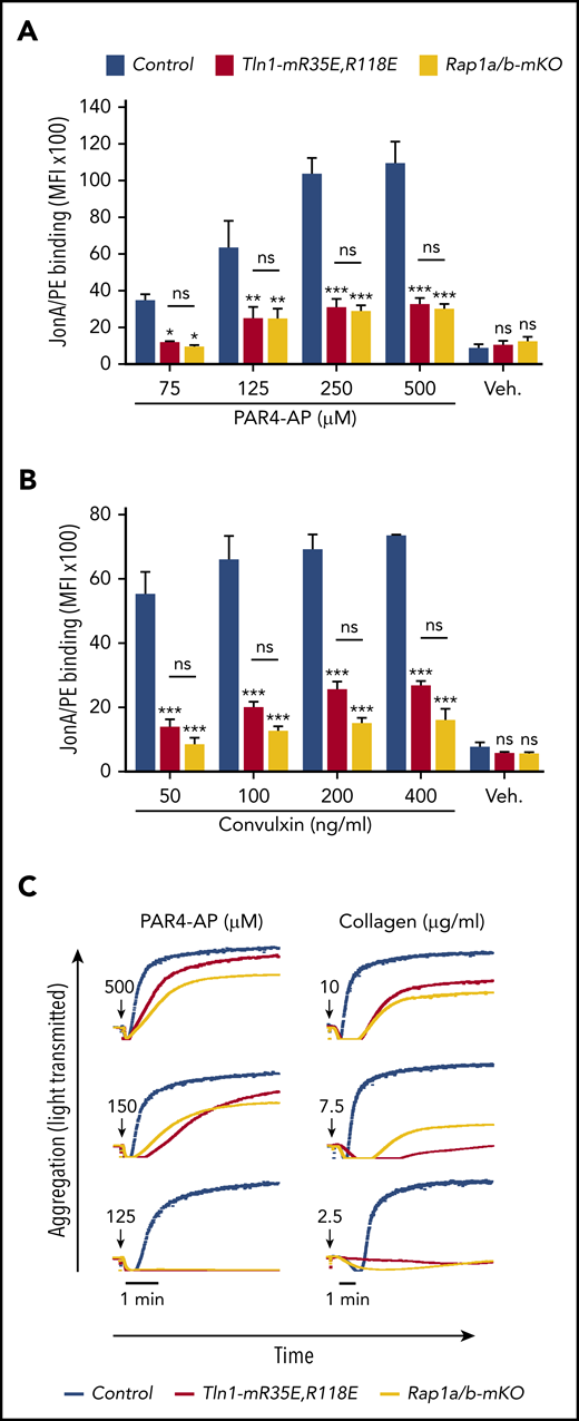 Tln1-mR35E,R118E platelets exhibit impaired αIIbβ3 activation to a similar extent as Rap1a/b-mKO platelets. (A-B) Flow cytometry assay to measure binding of GPIX-labeled platelets in whole blood to JonA/PE antibody in response to PAR4-AP (A) or convulxin (B) stimulation. Bar graphs represent mean fluorescence intensity (MFI) ± standard error of the mean (n = 6 mice, representative of ≥3 independent experiments). (C) Representative aggregation responses of Tln1-mR35E,R118E and Rap1a/b-mKO platelets stimulated with various concentrations of agonists. Curves corresponding to control and Tln1-mR35E,R118E platelets stimulated with PAR4-AP were from the same experiment as those depicted in Figure 3D. Arrows indicate addition of agonists. *P < .05;**P < .01; ***P < .001. ns, not significant.
