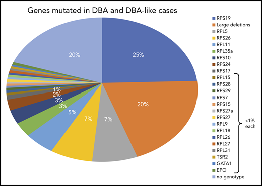 Summary of DBA genotypes. Summary of the frequency of various mutant RP genes in DBA-affected patients compiled from published data from national registries. In ∼20% of the DBA cases, no genotype was identified after extensive sequencing (targeted next-generation sequencing) and screening for large deletions (quantitative polymerase chain reaction, multiplex ligation-dependent probe amplification, comparative genomic hybridization). It is anticipated that whole-exome sequencing or whole-genome sequencing (WGS) may fill this gap.