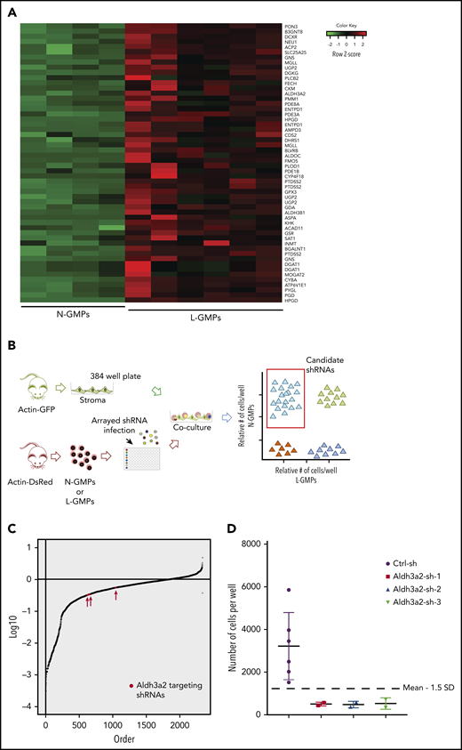 Loss-of-function screen reveals metabolic vulnerabilities in MLL-AF9–driven AML. (A) Heatmap showing 45 metabolic genes overexpressed in L-GMPs as compared with N-GMPs in the retrovirus-based MLL-AF9 leukemia model.25 (B) Experimental workflow for the genetic depletion screen. (C) Distribution of the number of shRNA-modified L-GMPs per well relative to the number of L-GMPs per control well on the respective plate. Any gene for which ≥3 shRNAs decreased the number of L-GMPs <1.5 standard deviations (SDs) of the mean of L-GMPs in control wells, in technical duplicate, was counted as a hit as long as ≤1 shRNA decreased numbers of N-GMPs <1.5 SDs for the same gene. Aldh3a2, among all sh-RNAs, is shown in red. (D) Number of L-GMPs was decreased <1.5 SDs in 3 wells carrying independent Aldh3a2 shRNAs in the screen.