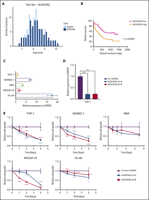 Human leukemia is sensitive to ALDH3A2 depletion. (A) ALDH3A2 expression in pretreatment AML patients with normal karyotype from the Meltezer database.32 (B) Overall survival in patients with high vs low ALDH3A2 expression. Data were divided into ALDH3A2-high and ALDH3A2-low patients around the median of the distribution of ALDH3A2 expression. (C) Relative ALDH3A2 expression in human AML cell lines. (D) Effective knockdown of ALDH3A2 expression in THP1 cells with 2 independent shRNAs (ALDH3A2-sh-A and ALDH3A2-sh-B) compared with control shRNA. (E) ALDH3A2 knockdown by 2 independent shRNAs decreased cell growth in 5 different AML cell lines as compared with cells infected with control shRNA. (F) ALDH3A2 knockdown by 1 or 2 independent shRNAs (depending on number of patient cells available) decreased the growth of 3 different primary AML samples as compared with cells infected with control shRNA. Data are representative of ≥2 independent experiments; n = 3 replicates per cell line per experiment. Data are represented as mean ± standard deviation. P > .05 was considered nonsignificant. *P < .05, **P < .01, ***P < .001, ****P < .0001. GAPDH, glyceraldehyde-3-phosphate dehydrogenase.
