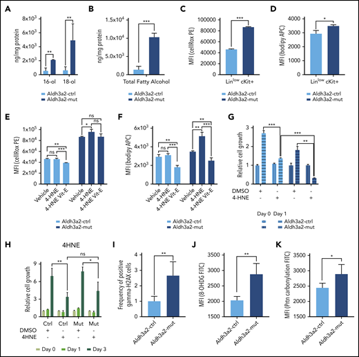 Aldh3a2 depletion alters the redox state of cells. (A-B) Levels of endogenous 16- and 18-carbon alcohols (A) as well as total alcohol levels (B) in Aldh3a2-control and -mutant leukemic cells. (C-D) Cellular ROS (C) and lipid peroxidation (D) levels in Aldh3a2-control and -mutant LSPCs (Linlowc-Kit+). (E-F) Cellular ROS (E) and lipid peroxidation levels (F) in Aldh3a2-control and -mutant LSPCs upon 4-HNE and 4-HNE plus vitamin E treatment. (G) Growth kinetics of Aldh3a2-control and -mutant LSPCs treated with 4-HNE. (H) Growth kinetics of Aldh3a2-control and -mutant N-GMPs treated with 4-HNE. (I-K) Aldh3a2-mutant leukemia cells show evidence of oxidative damage to DNA and protein as shown by increased levels of γ-H2AX (double-stranded DNA breaks) (I), 8-OHDG (oxidative DNA damage) (J), and protein carbonylation (oxidative protein damage) (K) in mutant vs control cells. Data are representative of ≥2 independent experiments; n = 3 replicates per cell line per experiment (except for measurement of alcohols, where 2 replicates were used). Data are represented as mean ± standard deviation. P > .05 was considered nonsignificant (ns). *P < .05, **P < .01, ***P < .001. DMSO, dimethyl sulfoxide; FITC, fluorescein isothiocyanate; MFI, mean fluorescence intensity.