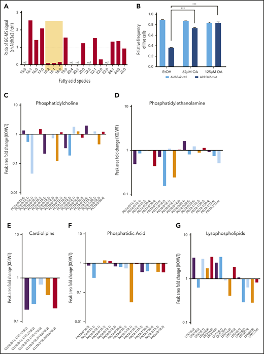 Aldh3a2 depletion alters lipid metabolism in AML cells. (A) Fatty acid methyl ester analysis in L-GMPs and Aldh3a2-depleted (Aldh3a2-sh-1) L-GMPs. (B) Frequency of live Aldh3a2-control and -mutant LSPCs 3 days after culture and treatment with vehicle (EtOH) or varying concentrations of oleic acid. (C-G) Lipidomic analysis of Aldh3a2-control and -mutant leukemia cells, showing ratios (mutant/control) of major species of lipids. Linoleic acid (18:2)–containing phosphatidylcholine, phosphatidylethanolamine, cardiolipin, and phosphatidic acid species were reduced, whereas several lysophospholipids (lacking 1 fatty acid side chain after oxidation), mainly those in the lysophosphatidic acid and lysophosphatidylcholine classes, were increased. ***P < .001. nd, not determined.