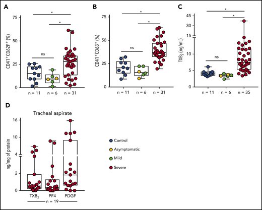 Increased platelet activation in critically ill COVID-19 patients. (A-B) The percentage of P-selectin (CD62P) (A) and CD63 (B) surface expression on platelets from SARS-CoV-2− control participants, SARS-CoV-2+ asymptomatic subjects, or symptomatic patients presenting mild to severe COVID-19 syndrome. (C) The concentration of TXB2 in plasma from control subjects or patients with COVID-19 presenting mild to severe syndrome. (D) Quantification of TXB2, PF4, and PDGF in tracheal aspirates from severe COVID-19 patients under mechanical ventilation (n = 19). The horizontal lines in the box plots represent the median, the box edges represent the interquartile ranges, and the whiskers indicate the minimal and maximal value in each group. *P < .05 between selected groups. ns, nonsignificant.