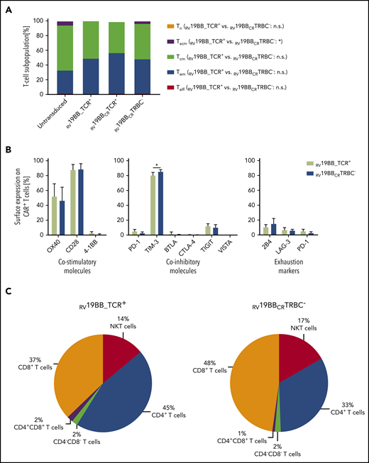 Cellular characteristics of the final CAR–T-cell product. (A) The final product of CAR-expressing T cells showed mainly Tcm and Tem T cells regardless of TCR expression after expansion (n = 3). (B) Surface expression profile of several costimulatory (OX40, CD28, 4-1BB) and coinhibitory molecules (PD-1, TIM-3, BTLA, CTLA-4, TIGIT, VISTA) as well as commonly used exhaustion markers (2B4, LAG-3, PD-1) was determined by flow cytometry and compared between CAR T cells with or without TCR KO (n = 3). (C) Cellular composition of CAR T cells was determined on day 14 (n = 4). A 2-tailed paired Student t test was performed to determine statistical significance. Tcm, CD62L+, CD45RO+, CD95+; Tem, CD62L−, CD45RO+, CD95+; Teff, CD62L−, CD45RO−, CD95+; Tn, CD62L+, CD45RO−, CD95−; Tscm, CD62L+, CD45RO−, CD95+. n.s., not significant; Tn, naïve T cells; Tscm, stem cell-like memory T cells.