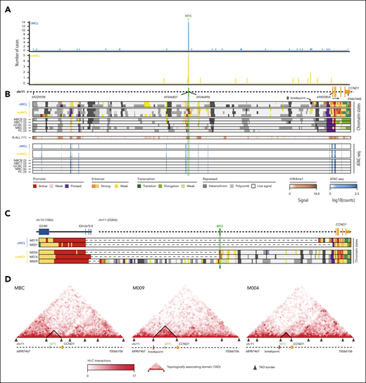 Integrative analysis of chr11 breaks of the IG/CCND1 translocation. (A) Distribution of breakpoints observed in chr11 in cMCL (top) and nnMCL (bottom). The number of cases with breakpoints in close proximity is summarized using a sliding window of 89 bp (MTC length) starting from the MTC region (shown in green). (B) Representation of the reference epigenomes of 5 MCL cases and 15 normal B cell samples spanning the B-cell maturation program. Numbers in brackets indicate the number of samples considered to build the consensus chromatin map of each cell type. (top) The breakpoints of each case are highlighted by a white square. (middle) Signal of H3K4me1 in B-cell acute lymphoblastic leukemia (B-ALL). (bottom) Chromatin accessibility (ATAC-seq peaks) showing the presence of an open chromatin region near the MTC region. B cells are grouped, and a consensus is depicted. (C) Reconstruction of the chromatin states of the IG/CCND1 translocated allele. Dashed lines indicate the junction of both chromosomes to maintain the breakpoints relative to the MTC and CCND1. (D) Hi-C contact matrices for memory B cells (MBC) and 2 nnMCL cases. The TAD associated with CCND1 and modulated upon the IG/CCND1 translocation is highlighted. GCBC, germinal center B cell; NBCB, naive B cell from peripheral blood; NBCT, naive B cell from tonsil; PC, plasma cell.