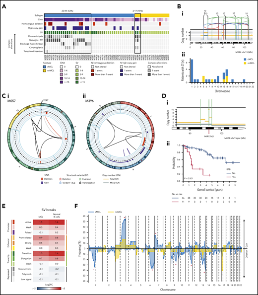 Complex genomic alterations in MCL identified by WGS. (A) Genomic complexity identified in both subtypes of MCL. Cases are depicted in columns. Rows illustrate CNA complexity, the number of homozygous deletions and amplifications, SV complexity, and different SV complex phenomena characterized by clustered SV (chromothripsis, kataegis overlapping with SV, BFB cycles, chromoplexia, and templated insertions). (B) Illustrative example of a whole chr13 affected by chromothripsis in a cMCL (i). (ii) Bar plot of chromosomes affected by chromothripsis (CT) in the 2 MCL subtypes. (C) Partial circos plot showing the 3 chromosomes involved in chromoplexia and TERT amplification and translocation in a nnMCL (i). (ii) Partial circos plot showing 4 chromosomes with crossed rearrangements and template insertions (focal gains) in 3 of them (chromosomes 1, 5, and 8) in a cMCL. (D) Illustrative example of BFB cycles resulting in amplification of MIR17HG in 13q accompanied by a terminal deletion (i). (ii) Kaplan-Meier curve of OS according to the presence of BFB cycles. (E) Enrichment of SV breakpoints in different chromatin states, as compared with background, in MCL and normal B cells. (F) Global profile of CNA in cMCL (blue) and nnMCL (yellow). The regions with different proportions of altered cases between subtypes (Q < 0.15) are indicated (*). Only regions with at least 6 altered cases were included in the comparison.