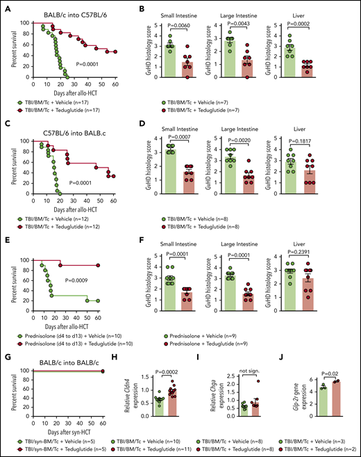 Teduglutide treatment leads to improved survival and reduced histological scores in mice with acute SR-GVHD. (A) Percentage survival of C57BL/6 allo-HCT mice treated with teduglutide or vehicle (n = 17 per group). Mice were treated with teduglutide or vehicle from day −3 until day +3 unless differently specified. Results are derived from 3 independent experiments. P value was calculated using the Mantel-Cox test. (B) GVHD histopathological scores from target organs of allo-HCT C57BL/6 animals on day 10, mice were treated with teduglutide or vehicle (n = 7 per group). Results are derived from 1 experiment. The P values were calculated using a 2-sided Mann-Whitney U test. (C) Percentage survival of allo-HCT BALB/c mice treated with teduglutide or vehicle (n = 12 per group). Results are derived from 2 independent experiments. P value was calculated using the Mantel-Cox test. (D) GVHD histopathological scores from small and large intestine and liver from allo-HCT BALB/c mice on day 10, animals were treated with teduglutide or vehicle (n = 8 per group). Results are derived from 2 independent experiments. The P values were calculated using a 2-sided Mann-Whitney U test. (E) Percentage survival of allo-HCT BALB/c mice treated with vehicle or teduglutide from day −3 to day 3 + prednisolone from day 4 to day 13 (n = 10 per group). Data are derived from 2 independent experiments. P value was calculated using the Mantel-Cox test. (F) Histological GVHD scores from BALB/c mice on day 10, treated as the schedule above described with teduglutide + prednisolone or vehicle + prednisolone (n = 9 per group). Data are derived from 2 independent experiments. The P values were calculated using a 2-sided Mann-Whitney U test. (G) Percentage survival of syn-HCT BALB/c mice treated with teduglutide or vehicle (n = 5 per group). Results are derived from 1 experiment. P value was calculated using the Mantel-Cox test. (H) Relative Cldn4 gene expression in the small intestine of allo-HCT BALB/c mice on day 5, treated with vehicle (n = 10) or teduglutide (n = 11). The P value was calculated using the unpaired, 2-sided Student t test. (I) Relative Chga gene expression in the small intestine of allo-HCT BALB/c mice on day 10, treated with vehicle or teduglutide (n = 8 per group). Data are derived from 2 independent experiments. The P value was calculated using the unpaired, 2-sided Student t test. (J) Glp-2r gene expression from microarray-based analysis from BALB/c mice on day 10 treated with vehicle (n = 3) or teduglutide (n = 2) from day −3 until day +10. Results indicate an increase Glp-2r gene expression in teduglutide-treated mice compared with vehicle-treated animals. The experiment was performed once. Adjusted P = .02.