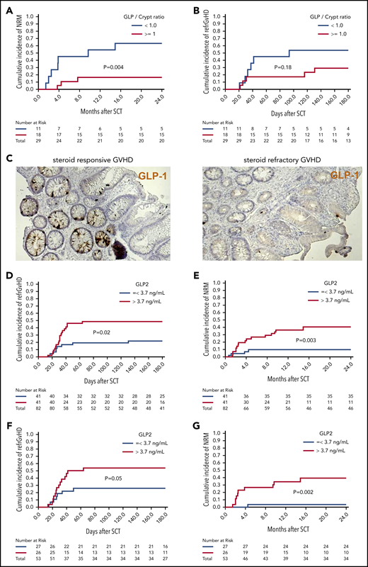 Low numbers of L cells in the gut and high GLP-2 levels in blood correlate with poor patient outcome after allo-HCT. Sigmoid colonic biopsies from 29 patients with initial diagnosis of acute gastrointestinal GVHD were stained for GLP-1 for quantification of L cells. Median L cell number per crypt was 1.05, therefore 1 L cell per crypt was used as cutoff for stratification in high (≥1 L cell per crypt) and low L-cell counts. (A) The 2-year cumulative incidence of NRM in patients with low vs high L-cell counts. (B) Cumulative incidence of SR-GVHD at 6 months in patients with low vs high L-cell counts. (C) Representative immunohistochemistry stain images of colonic biopsies stained for GLP-1 (brown). Left, patient with high L-cell count who responded well to steroid treatment and stayed alive. Right, patient with low L-cell count who developed SR-GVHD and NRM. For GLP-2 blood-level correlation, serum prepared from fasting blood samples of 82 consecutive patients with newly diagnosed acute GVHD was analyzed for GLP-2 concentration. Median GLP-2 concentration was 3.7 ng/mL, which was used as cutoff for stratification in high (>3.7 ng/mL) and low GLP-2 levels. (D) Cumulative incidence of SR acute GVHD at 6 months in patients with high vs low serum GLP-2 concentrations. (E) Cumulative incidence of NRM at 2 years in patients with high vs low serum GLP-2 concentrations. GLP-2 level in the peripheral blood as a continuous variable was also associated with a higher risk of SR-GVHD (HR, 1.09; 95% CI, 1.00-1.19; P = .05) and NRM (HR, 1.17; 95% CI, 1.03-1.32; P = .01). (F) Further subgroup analysis was performed including only patients with no gastrointestinal symptoms at time of diagnosis of GVHD (n = 53). Cumulative incidence of SR-GVHD at 6 months again tended to be higher for patients with high GLP-2 levels: 54% (95% CI, 34% to 74%) vs 26% (95% CI, 8% to 44%), P = .05. (G) Cumulative incidence of NRM at 2 years was higher for patients with high GLP-2 concentrations: 40% (95% CI, 20% to 60%) vs 4% (95% CI, 0% to 12%) (P = .002).