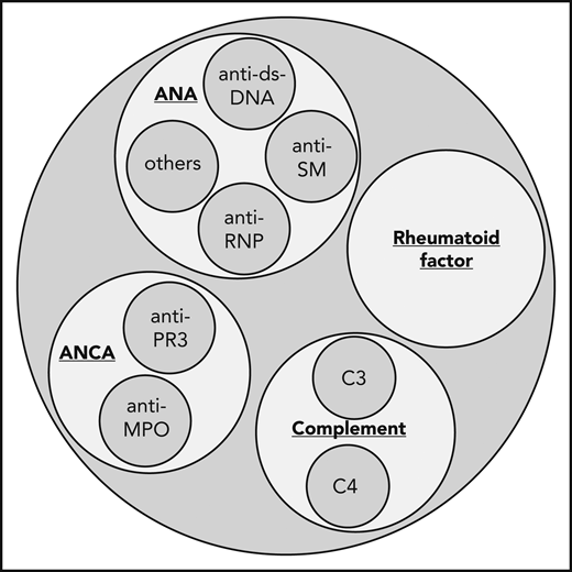 Which antibodies to test for in the evaluation of vasculitis. When considering workup for an autoimmune and vasculitic etiology of an unexplained arterial thromboembolism, consider ordering erythrocyte sedimentation rate, C-reactive protein, ANA, rheumatoid factor, ANCA, and C3 and C4 complement. ANA, antinuclear antibodies; ANCA, antineutrophil cytoplasmic antibodies; ds-DNA, double-stranded DNA; MPO, myeloperoxidase; PR3, proteinase 3; RNP, ribonucleoprotein; SM, SM proteins (core proteins of small nuclear ribonucleoproteins).