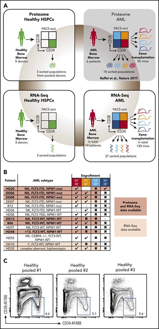Experimental setup and functional validation of LSC populations. (A) Integration of proteomic (top row) and transcriptomic (bottom row) data sets of healthy HSPC (left column), LSC and non-LSC populations (right column). Proteome of AML samples (top right) was published earlier.12 (B) Leukemic engraftment potential of sorted populations per patient. Mustard shading indicates populations used for proteomics and transcriptomics; light mustard shading, populations used for additional transcriptomics. (C) Flow cytometric analysis of CD34 and CD38 expression of pooled healthy samples used for proteome. Live, lineage-negative cells are shown, and numbers represent gated events of phenotypic HSPCs. NK, normal karyotype.