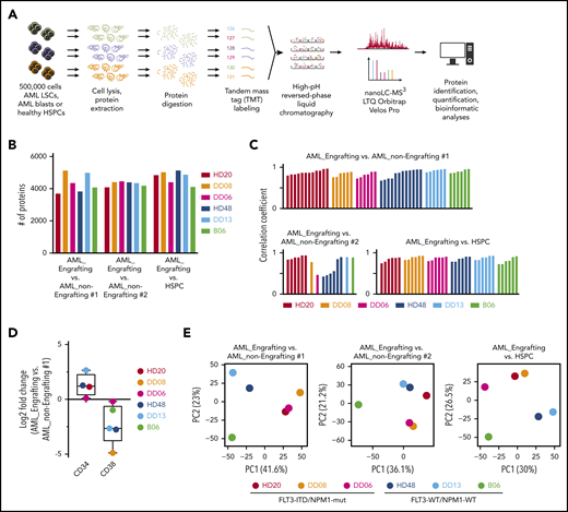 Proteomic workflow and data quality. (A) Proteomic workflow. (B) Number of proteins quantified in at least 2 replicate comparisons within each comparison for each patient. (C) Pearson correlation coefficient for replicate comparisons (ratio values) for each patient. (D) Log2 fold-change of CD34 and CD38 protein expression comparing the “AML_engrafting vs AML_non-Engrafting #1” population. (E) PCA for indicated comparison using all quantified proteins.