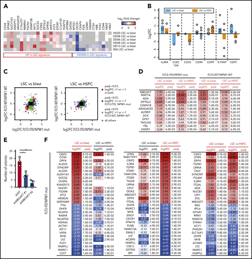 Differentially expressed proteins in LSC vs blast and LSC vs HSPC comparisons. (A) Heat map representation of protein expression of members of the LSC100 AML stem cell signature.9 (B) Log2 fold protein expression of proposed LSC markers in the indicated comparison. Each dot represents an individual AML sample. (C) Log2 fold-change (FC) in indicated comparison in FLT3-ITD/NPM1-mut AML (x-axis) vs FLT3-WT/NPM1-WT AML samples (y-axis). (D) Proteins significantly (padj < .01) overexpressed in both LSC vs blast and LSC vs HSPC comparisons in both AML subgroups. (E) CFU assay using MOLM13 cells after induced knockdown of MBOAT7 with 2 different hairpins (shMBOAT7 #1 and #2) and a nontargeting control (shNT). Each dot represents 1 culture, 2-sided Student t test. (F-G) Top 15 and bottom 15 proteins for LSC vs blast (left), LSC vs HSPC (middle), and combined (right) comparisons. (F) FLT3-ITD/NPM1-mut AML samples. (G) FLT3-WT/NPM1-WT cases. (H) Validation of selected LSC surface proteins by flow cytometry in n = 15 AML samples (n = 7 FLT3-ITD/NPM1-mut and n = 8 FLT3-WT/NPM1-WT cases) and n = 5 HSPC samples. (I) CFU assay using MOLM13 cells after induced knockdown of CRIP2 with 2 different hairpins (shCRIP2 #1 and #2) and a nontargeting control (shNT). Each dot represents 1 culture, 2-sided Student t test.