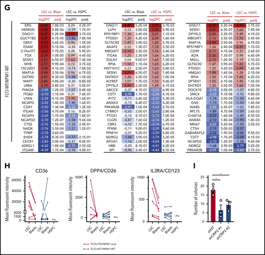 Differentially expressed proteins in LSC vs blast and LSC vs HSPC comparisons. (A) Heat map representation of protein expression of members of the LSC100 AML stem cell signature.9 (B) Log2 fold protein expression of proposed LSC markers in the indicated comparison. Each dot represents an individual AML sample. (C) Log2 fold-change (FC) in indicated comparison in FLT3-ITD/NPM1-mut AML (x-axis) vs FLT3-WT/NPM1-WT AML samples (y-axis). (D) Proteins significantly (padj < .01) overexpressed in both LSC vs blast and LSC vs HSPC comparisons in both AML subgroups. (E) CFU assay using MOLM13 cells after induced knockdown of MBOAT7 with 2 different hairpins (shMBOAT7 #1 and #2) and a nontargeting control (shNT). Each dot represents 1 culture, 2-sided Student t test. (F-G) Top 15 and bottom 15 proteins for LSC vs blast (left), LSC vs HSPC (middle), and combined (right) comparisons. (F) FLT3-ITD/NPM1-mut AML samples. (G) FLT3-WT/NPM1-WT cases. (H) Validation of selected LSC surface proteins by flow cytometry in n = 15 AML samples (n = 7 FLT3-ITD/NPM1-mut and n = 8 FLT3-WT/NPM1-WT cases) and n = 5 HSPC samples. (I) CFU assay using MOLM13 cells after induced knockdown of CRIP2 with 2 different hairpins (shCRIP2 #1 and #2) and a nontargeting control (shNT). Each dot represents 1 culture, 2-sided Student t test.