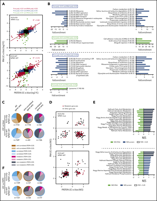 Correlation of proteome and transcriptome data sets. (A) Log2 fold-change at protein level (x-axis) vs RNA level (y-axis). Significant changes at RNA (padj <.05 in green), protein (padj <.01 in blue), and both levels (in red) are highlighted. Correlation coefficient R2 is shown for significant hits at both levels. (B) KEGG pathways overrepresented in hits significant at protein level and not significant at RNA level (blue) or vice versa (green). Fold enrichment and P value at protein level are shown. (C) Correlation of GSEA of KEGG and Hallmark gene sets on protein and RNA level in LSC vs blast comparisons. Correlated: unidirectional enrichment on both levels; anticorrelated: divergent enrichment on protein and RNA level, respectively. Relative distribution of metabolic and nonmetabolic gene sets per correlated or anticorrelated gene sets. (D) NES of KEGG and Hallmark gene sets at protein (x-axis) vs RNA level (y-axis). Metabolic gene sets are highlighted in red. (E) Selection of metabolic gene sets enriched in LSCs at protein level and not at RNA level. (F) Correlation of GSEA of KEGG and Hallmark gene sets on protein and RNA level in LSC vs HSPC comparisons. For legend, see panel C.