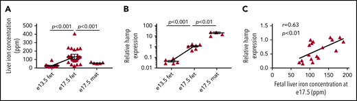 Fetal liver iron concentration and hepcidin expression increase in the third trimester. (A) Total iron concentration in fetal livers harvested at e13.5 (n = 27) and e17.5 (n = 28) and in maternal livers at e17.5 (n = 5). (B) Relative hamp mRNA expression in fetal livers harvested at e13.5 (n = 6) and e17.5 (n = 6) and in maternal livers at e17.5 (n = 5). (C) Correlation between relative hamp expression and total iron concentration in fetal livers at e17.5 (n = 18). Values are shown as mean ± SEM. P values are calculated using Student t test. r is Pearson’s correlation coefficient. fet, fetal; mat, maternal.