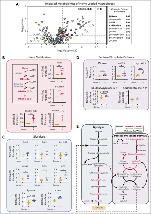 Unbiased metabolomics analysis of heme-loaded macrophages reveals enrichment for metabolites associated with glycolysis and the PPP. (A) Volcano plot representing the changes in BMDM metabolism after 6 hours of 10 µM heme loading, as measured by unbiased mass spectrometry–based metabolomics. Log2 values of the fold change of individual metabolites are plotted on the x-axis, and –log2 of the P value of a Welch’s t test between control and heme-loaded BMDMs is plotted on the y-axis (n = 5). (B) Changes in heme metabolite abundance in heme-loaded BMDMs. Metabolites in red text are increased in heme-loaded BMDMs relative to vehicle control with corresponding plots for the individual metabolites involved in heme catabolism (n = 5). (C) Plots representing individual metabolites involved in the glycolysis pathway (n = 5). (D) Plots representing individual metabolites involved in the PPP (n = 5). (E) Pathway analysis summary of glycolysis and the PPP in heme-loaded BMDMs. Metabolites in red text are increased in heme-loaded BMDMs relative to vehicle control. Data are mean ± standard deviation (SD) of relative abundance measurements for control and heme-loaded BMDMs (n = 5). Statistical significance between 2 groups was determined by Welch’s unpaired t test. *P < .05; **P < .01; ***P < .001. See also supplemental Figure 1.