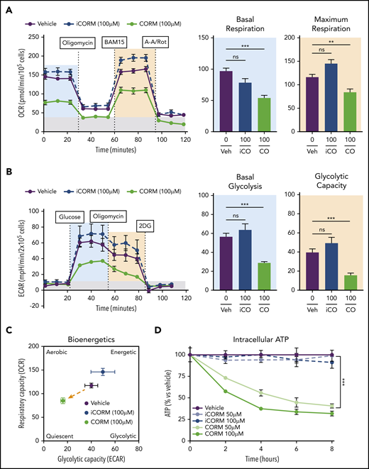 CO mimics the metabolic phenotype of heme-loaded macrophages. (A) MST of BMDMs treated with vehicle, 100 µM iCORM3, or 100 µM CORM3 for 6 hours (n ≥3). The OCR was measured initially (basal; blue) and after injection of 1 µM oligomycin, 2 µM BAM15 (maximal; green), 10 µM antimycin A, and 1 µM rotenone (gray; non-mitochondrial). Basal and maximal OCR were calculated by subtracting the mean OCR of the first 3 (basal) or post-BAM15 (maximal) measurements from the mean OCR of the post-AA/Rot measurements. Reserve capacity is the difference in maximal and basal respiratory capacity. (B) GST of BMDMs treated with vehicle, 100 µM iCORM3, or 100 µM CORM3 for 6 hours (n ≥3). The ECAR was measured after injection of 20 mM glucose, 1µM oligomycin, and 80 mM 2-deoxyglucose (2-DG) to produce the basal (blue), stressed (green), and background (gray) ECAR, respectively. Basal and stressed ECAR were calculated by subtracting the mean ECAR of the post-glucose (basal) or post-oligomycin (stressed) measurements from the mean ECAR of the post-2-DG measurements. (C) Bioenergetics plot relates the respiratory capacity of the cells (based on maximal OCR; y-axis) to the glycolytic capacity (based on stressed ECAR; x-axis) in BMDMs treated with CORM3 or iCORM3 for 6 hours (n ≥3). (D) as measured by luminescent signal of the Cell-Titer Glo ATP Assay and presented as percent of initial vehicle control (n = 5). Data are represented as mean ± SEM. Statistical significance between 2 groups was determined by Welch’s unpaired t test. Significance between more than 2 groups was determined by one-way ANOVA with post hoc Tukey’s or Dunnett’s multiple comparisons tests, as appropriate, to determine differences between specific groups. ns, not significant. *P < .05; **P < .01; ***P < .001. See also supplemental Figure 5.