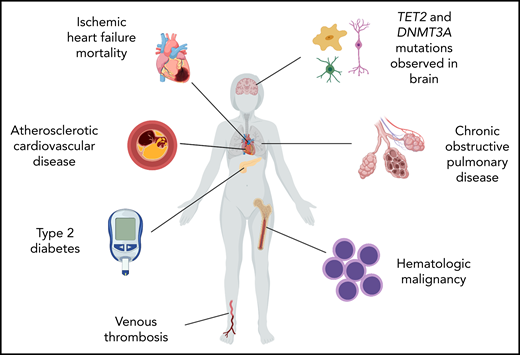 Summary of reported associations of CHIP with nonhematologic diseases.