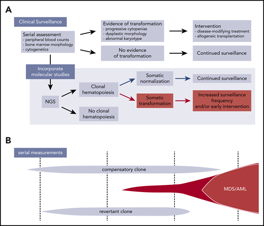 Incorporation of next-generation sequencing (NGS) into surveillance in IBMFS patients. (A) Current surveillance strategies in IBMFSs rely on serial monitoring of peripheral blood counts, bone marrow morphology, and cytogenetics. Incorporation of NGS to identify CH and assign specific mechanisms of somatic mutation may allow for early detection of clones with increased transformation risk and enable early intervention. (B) Schematic of CH in a patient with IBMFS. Distinct clones can coexist over time, with only certain transformation-associated clones at risk for evolving into MDS/AML.