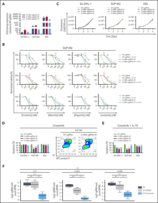IL10RA overexpression modulates sensitivity to ALK inhibition. (A) Fold change in expression levels of IL10RA for each of the 3 sgRNAs targeting IL10RA vs nontargeting (NT) control sgRNA in the indicated ALCL cell lines. Data are means ± standard deviation (SD) (n = 3). (B) Viability of SUP-M2 cells based on normalized CellTiter-Blue fluorescence reads on exposure to increasing concentrations of crizotinib, alectinib, brigatinib, or lorlatinib for 48 hours when expressing 1 of 3 of the indicated sgRNAs inducing overexpression of IL10RA in the presence or absence of 10 ng/mL IL-10. Data are means ± SD (n = 3). (C) Proliferation of ALCL cell lines expressing sgRNAs inducing overexpression of IL10RA over 4 days. Data are means ± SD (n = 3). (D) Modulation of apoptosis upon expression of sgRNAs inducing overexpression of IL10RA in the indicated ALCL cell lines. The percentage of apoptotic cells was determined by APC-annexin V and propidium iodide (PI) staining of ALCL cells treated with 125 nM crizotinib (SU-DHL-1), 312.5 nM crizotinib (SUP-M2) or 1250 nM crizotinib (DEL) for 48 hours (left panel). Data are means ± SD of technical replicates; experiments were performed independently 3 times. Representative flow cytometry plots of APC-annexin V/PI staining intensities corresponding to IL10RA sgRNA promoting survival vs NT control sgRNA in SUP-M2 cells (right panel). (E) Modulation of apoptotic response upon expression of sgRNAs inducing overexpression of IL10RA in the indicated ALCL cell lines. The percentage of apoptotic cells was determined by annexin V and PI staining of ALCL cells treated with 125 nM crizotinib (SU-DHL-1), 312.5 nM crizotinib (SUP-M2) or 1250 nM crizotinib (DEL) in the presence of 10 ng/mL IL-10 for 48 hours. Data are means ± SD of technical replicates; experiments were performed independently 3 times. (F) Results from the mini CRISPR-Cas9–based knockout screen. Read counts of 6 sgRNAs targeting IL10/IL10RA/IL10RB in the SUP-M2–derived TS cell line before and after a 14-day incubation with DMSO or 80 nM crizotinib. Data are means ± SD with read counts for individual sgRNAs (n = 6) plotted as dots. *P < .05. **P < .01, ***P < .001, Welch 2-sample t test (B,D-E); unpaired Welch-corrected t test (F). ns, not significant.