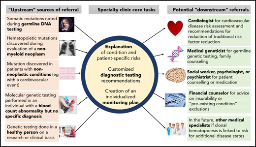 Referral patterns and evaluation of people with clonal hematopoiesis. People with clonal hematopoiesis may be identified in several different ways, including during testing for other conditions. Tasks for hematologists include helping affected persons understand clonal hematopoiesis and its implications, organizing further diagnostic testing that may be indicated in some cases (eg, bone marrow aspiration and biopsy), and developing a monitoring plan. Referral to other specialists may be necessary, including geneticists (eg, if a germline mutation is possible) or cardiovascular disease specialists for traditional risk factor assessment and modification.