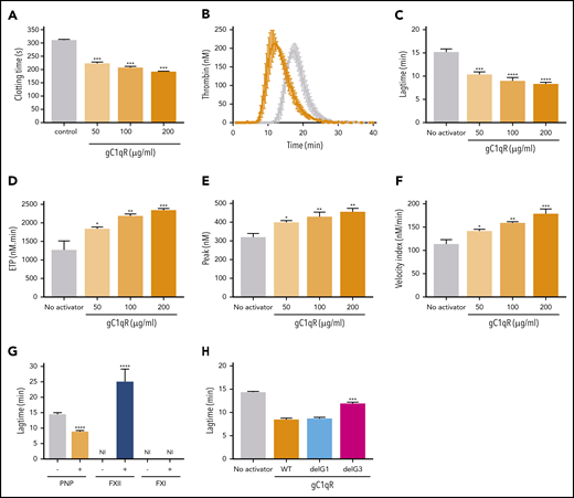 gC1qR stimulation of plasma coagulation in a FXII-dependent manner. (A) PNP was incubated for 180 seconds and increasing concentrations of gC1qR (50-200 µg/mL) with Zn2+ (50 µM). Coagulation was initiated by addition of CaCl2 (8.3 mM), and clotting time was monitored. (B-F) Thrombin generation for PNP with gC1qR (50-200 µg/mL) and Zn2+ (50 µM). Raw data curves in the presence of gC1qR (orange) and without (gray) for lag time (minutes), endogenous thrombin potential (ETP; nM/min), peak thrombin (nM), and velocity index (nM/min) were derived. (G) Lag time (minutes) is shown for thrombin generation of PNP or FXII- or FXI-deficient plasma incubated with or without gC1qR (100 µg/mL) and Zn2+ (50 µM). In the absence of gC1qR, there was no thrombin generation evident in FXI- or FXII-deficient plasma. FXII-deficient plasma with gC1qR shows a significant delay in thrombin generation, with a lag time of 25 ± 6.7 minutes vs 9 ± 0.7 minutes in PNP and no thrombin generation in FXI-deficient plasma with gC1qR, indicating a dependence on the intrinsic pathway. (H) Lag time (minutes) is shown for thrombin generation of PNP, gC1qR (100 µg/mL), and gC1qR variants with G1 (cyan) and G3-loops (pink) deleted, showing a dependency on the gC1qR G3-loop.